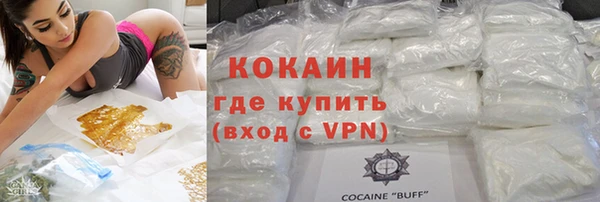 прущие грибы Аркадак