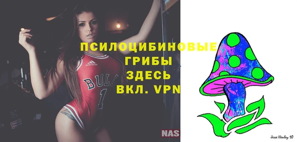 прущие грибы Аркадак