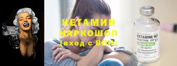 прущие грибы Аркадак