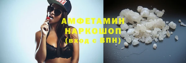 прущие грибы Аркадак