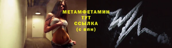 прущие грибы Аркадак