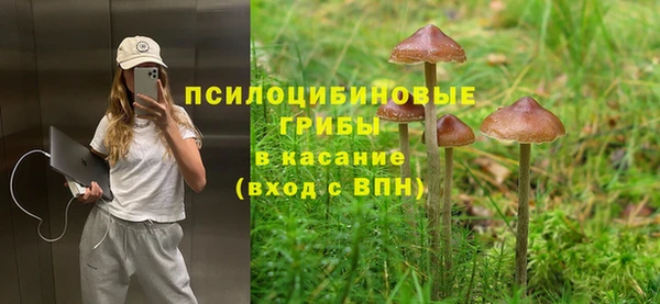 ALPHA-PVP Армянск