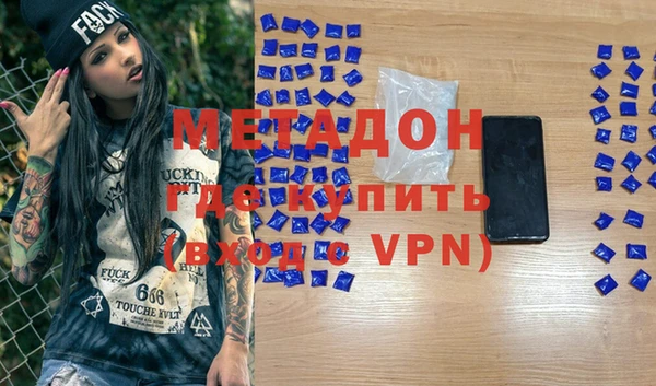 прущие грибы Аркадак