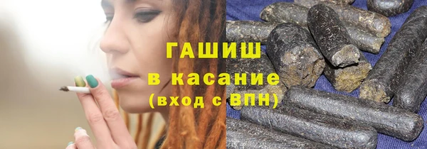 прущие грибы Аркадак