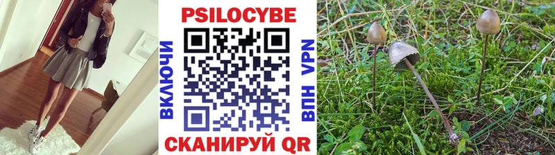 ссылка на мегу маркетплейс  маркетплейс наркотические препараты  Галлюциногенные грибы Cubensis  Цивильск 